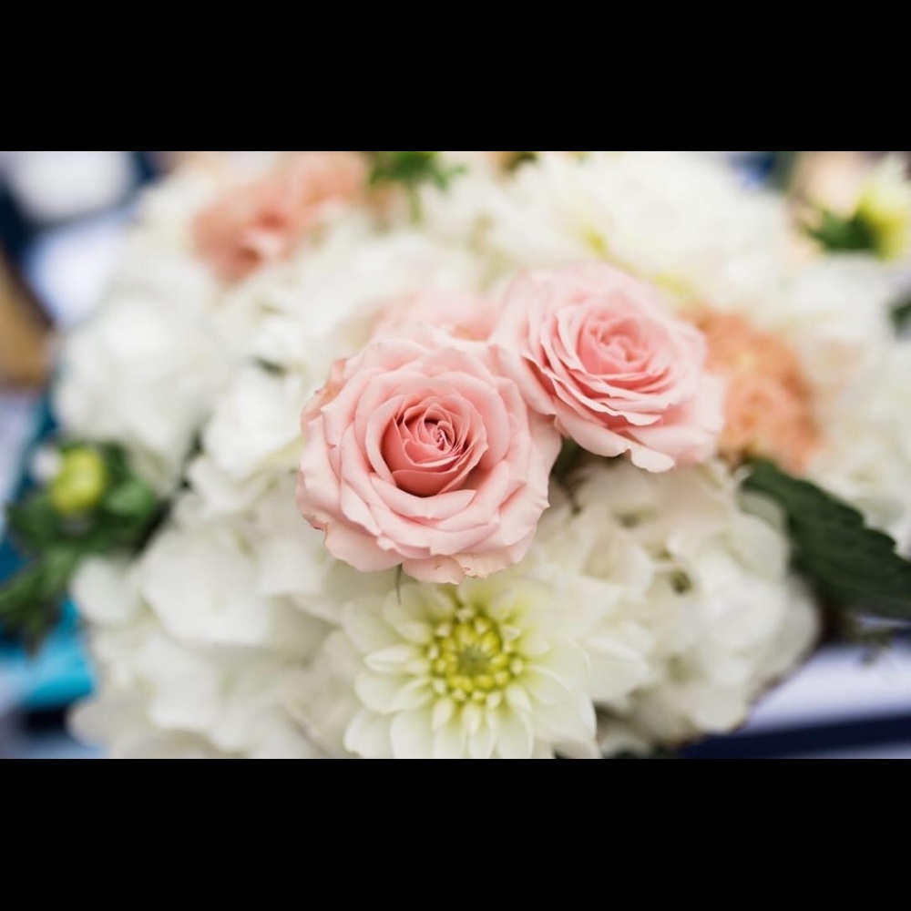 Meet your Posher, Adria